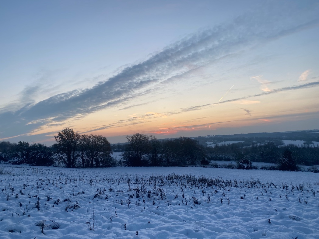 Morning - today there’s some lovely light at the end of our snowy field. Hope you find yours x