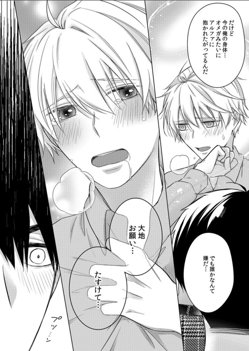 αなのに強制的にΩにされてしまった話⑤

この後はα初めてのΩとしてのエロになるのでTwitterではここまでで

『いじわるな番の熱に溺れて 後天性Ωは抱かれたい』、いじつが続編連載開始です!よろしくお願いします🙏✨🙏
 #創作BL  #BL漫画  #いじつが 