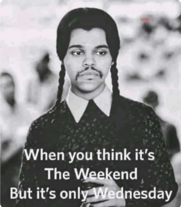 Y'all could be prosecuted for this

😅😅

#wednesday #midweek #memesdaily #memes2022