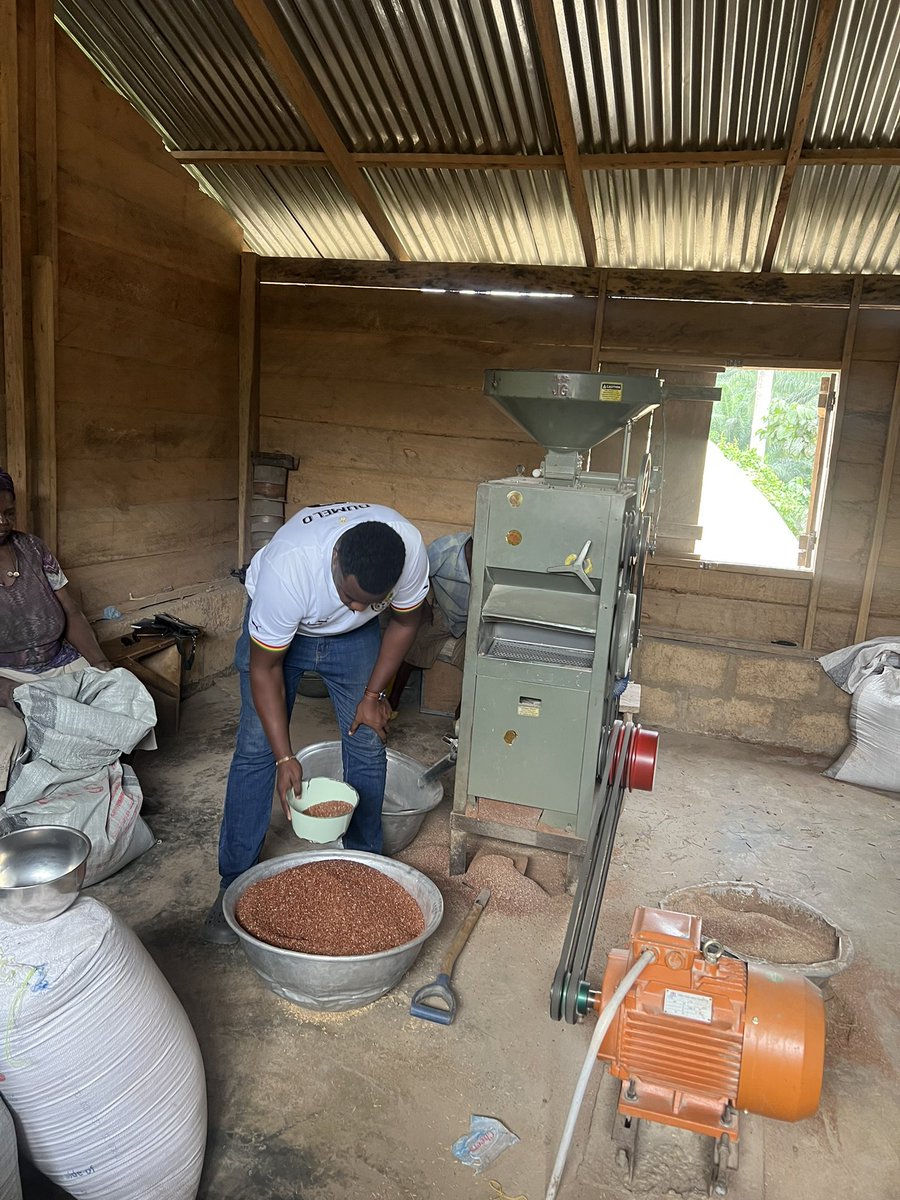 johndumelo's tweet photo. Getting rice ready…. https://t.co/8g6gAmQ6nu