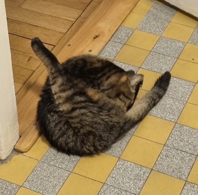 Mood https://t.co/T5yhnrhRFX