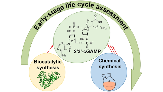 ChemSusChem's tweet photo. Comparative Life Cycle Assessment of Chemical and Biocatalytic 2'3'-Cyclic GMP-AMP Synthesis (Katrin Rosenthal et al.) @RosenthalKatrin @Luetz_Lab @TU_Dortmund @p_lodz_pl #OpenAccess thanks to #ProjektDEAL https://t.co/NOG6PzACOW https://t.co/BUiiITQwap
