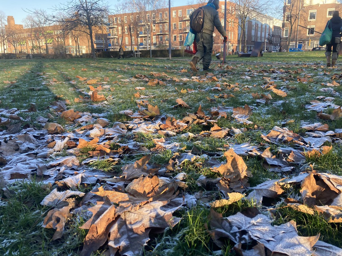rinibiemans's tweet photo. Groeten vanuit een winters #park1943 😀🍀❄️ #winterbeeld https://t.co/q0Ss942hLe