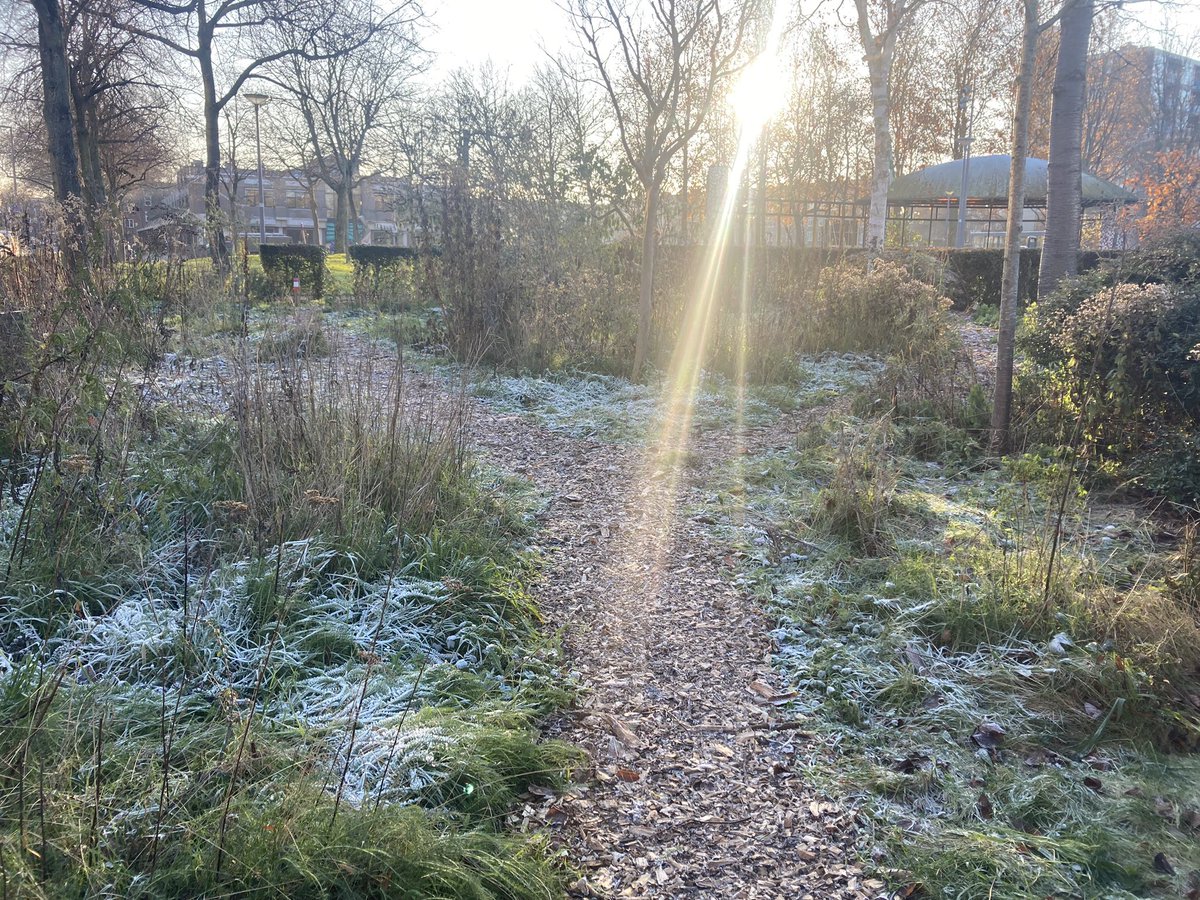rinibiemans's tweet photo. Groeten vanuit een winters #park1943 😀🍀❄️ #winterbeeld https://t.co/q0Ss942hLe