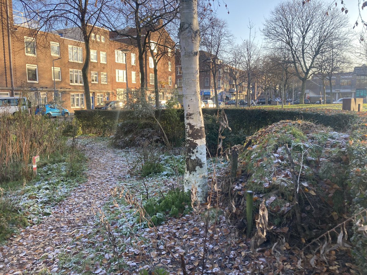 rinibiemans's tweet photo. Groeten vanuit een winters #park1943 😀🍀❄️ #winterbeeld https://t.co/q0Ss942hLe