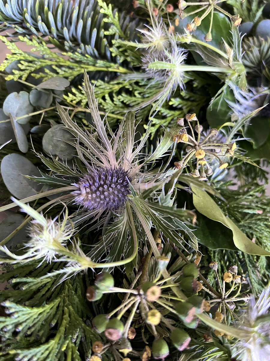 Front door glow up #foliagefaffing #winterwreath #doordecor #homemadewreath #craftybird #eryngium #eucalyptus #treeivy #leylandii