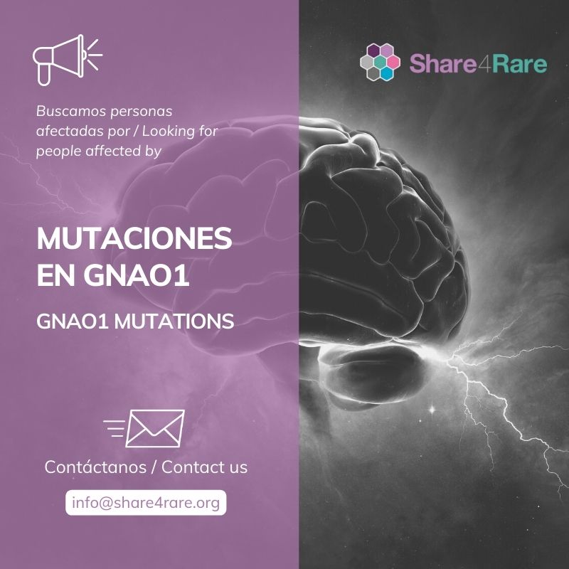 Share4Rare (@share4rare) on Twitter photo Mutations in the #GNAO1 gene cause a syndrome charaterised by intellectual #disability, hypotonia and irregular muscle contractions, among other symptoms. We are looking for people affected by this mutations to connect them in #Share4Rare 👥 
Contact us! bit.ly/S4R-Registrati… Mutations in the #GNAO1 gene cause a syndrome charaterised by intellectual #disability, hypotonia and irregular muscle contractions, among other symptoms. We are looking for people affected by this mutations to connect them in #Share4Rare 👥 
Contact us! bit.ly/S4R-Registrati…