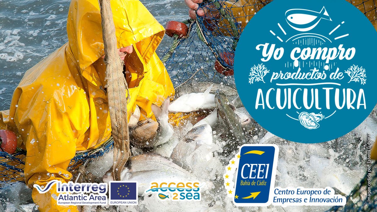 Access2Sea (@access2sea) on Twitter photo ¿Sabías que el sector de la acuicultura es muy relevante en la provincia de Cádiz dado que, genera empleo y se encuentra en pleno crecimiento? #Apuestaporelconsumodeproductosdeacuicultura
#YoComproProductosdeAcuicultura y, ¿tú?
<a href="/Access2Sea/">Access2Sea</a>
<a href="/ceeibahia/">CEEI Bahía de Cádiz</a>
<a href="/Ctaqua_CT/">CTAQUA-Acuicultura</a>
<a href="/AtlanticArea/">Interreg Atlantic Area</a> ¿Sabías que el sector de la acuicultura es muy relevante en la provincia de Cádiz dado que, genera empleo y se encuentra en pleno crecimiento? #Apuestaporelconsumodeproductosdeacuicultura
#YoComproProductosdeAcuicultura y, ¿tú?
<a href="/Access2Sea/">Access2Sea</a>
<a href="/ceeibahia/">CEEI Bahía de Cádiz</a>
<a href="/Ctaqua_CT/">CTAQUA-Acuicultura</a>
<a href="/AtlanticArea/">Interreg Atlantic Area</a>