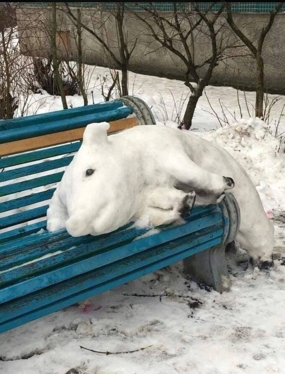 Мрачный Турандот ™️ tweet media