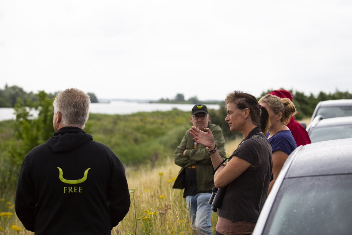 Word jij onze nieuwe #collega? 🐂🌳 FREE Nature zoekt een #MBO #Toezichthouder in de regio #Brabant (omgeving #DenBosch #Werkendam). De vacature vind je hier: freenature.nl/over-free/orga…