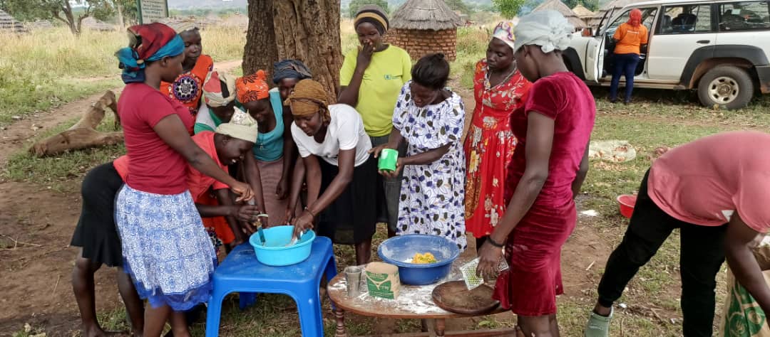 HarvestPlus partners with SASAKAWA Africa to build the capacity of over 250 youths in Karamoja sub-region to make nutritious snacks from orange sweet potatoes for improved incomes and thus livelihoods.