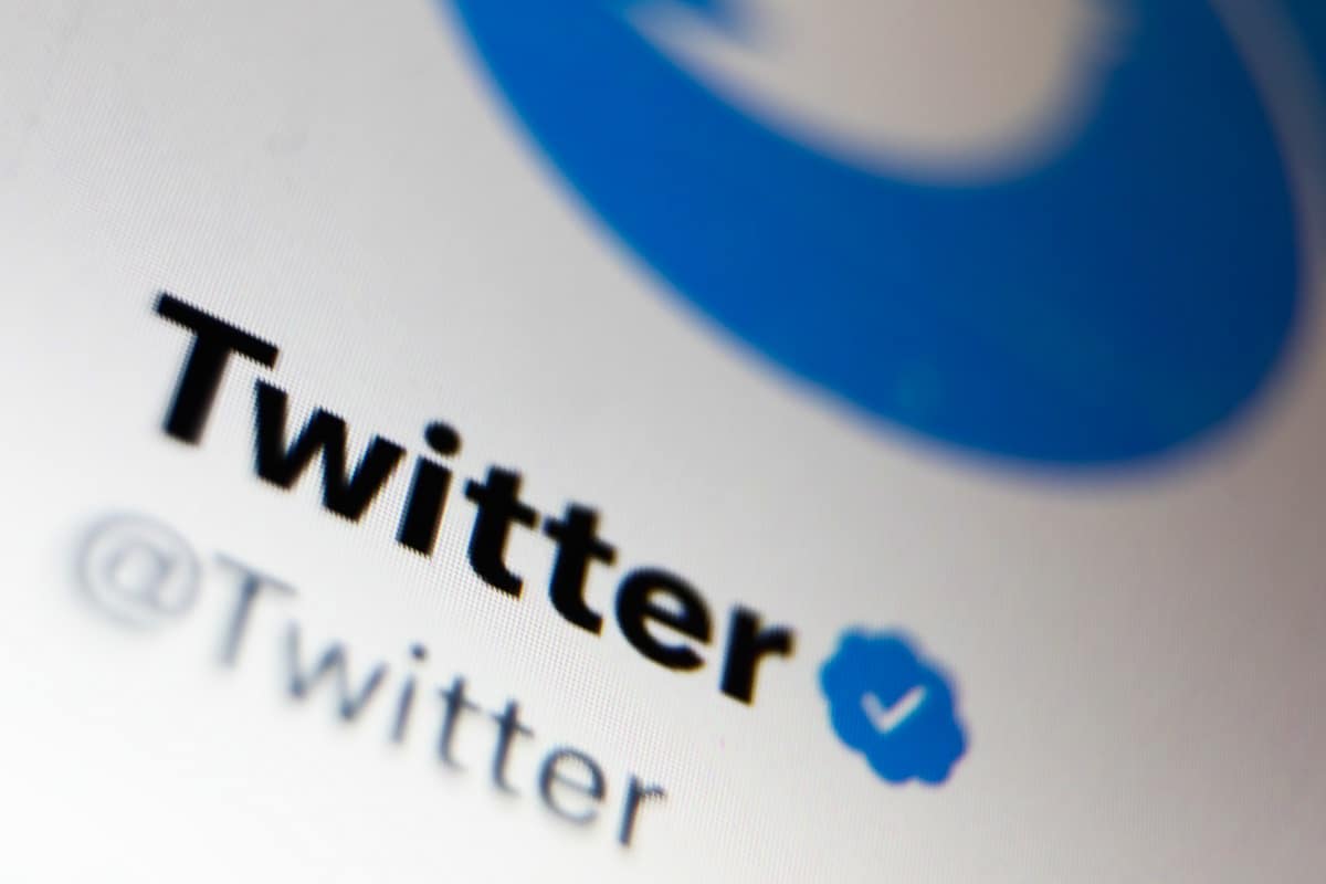 sara zeroual tweet media