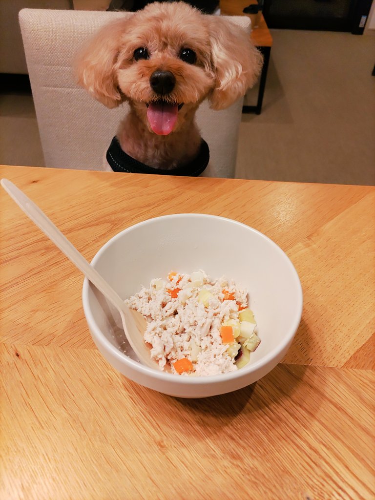 012happybear's tweet photo. 今日、僕のお誕生日🎂
10歳になったよ🐶
先月、連れて行ってもらったよ🎵
すごく楽しかった😊
 #キャピトルホテル東急
 #レジーナリゾート仙石原 https://t.co/F4u4RTRXxN