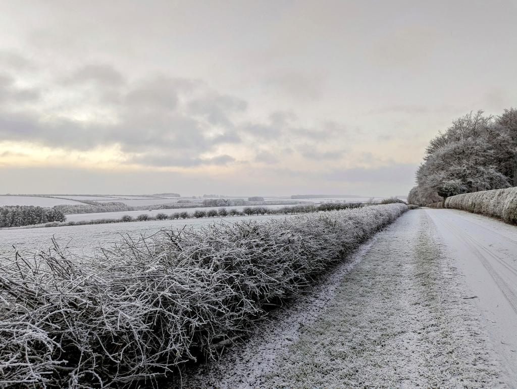 Matthew_Midgley's tweet photo. Snow this morning making the wolds look even more beautiful
#snow #winter @Yorkshire_Wolds @WeatherWolds @northyorkswx https://t.co/CqNbA9HbCD