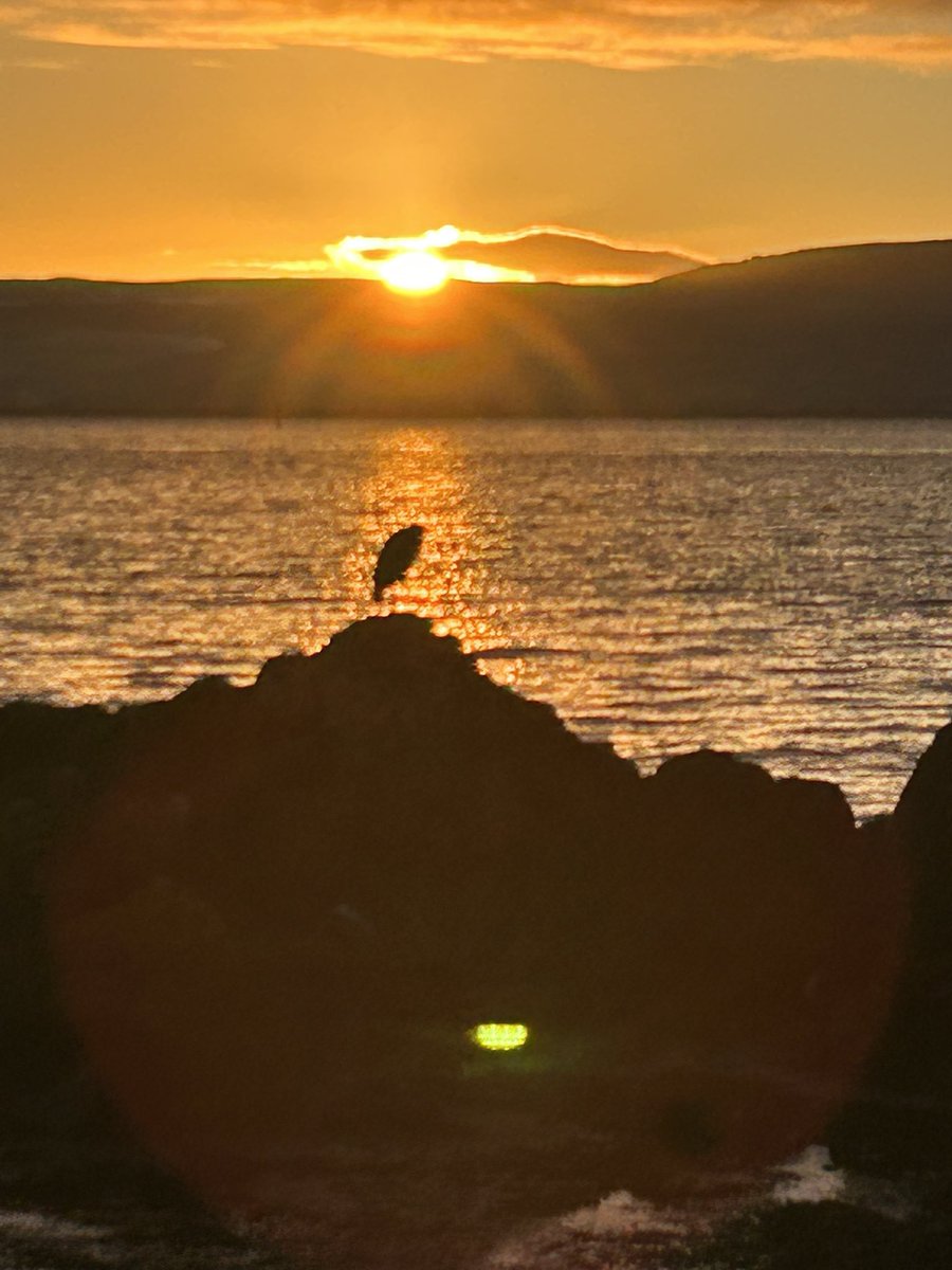 Liam_Skelly's tweet photo. We had it all on #MovilleShoreWalk this morning Sunrise, Rainbow &amp; our resident Grey Heron George warming up before breakfast. @wildatlanticway  @MMaryMcKenna @deric_tv @bbcniweather @Visit_Inishowen #seabirds https://t.co/cphXSIIbHr