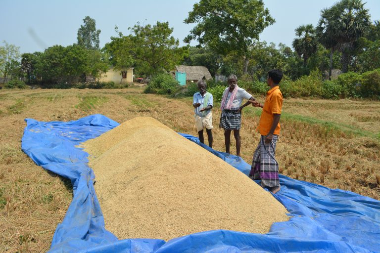 MSSRF (@mssrf) on Twitter photo From #landless daily-wage earners to #farmers - villagers of Thenpathi in #Mayiladuthurai District, #TamilNadu reap the benefits of #collective #farming‼️
📋 Read #MSSRF_StoriesOfChange👍
🔗bit.ly/3Wezxzh
<a href="/mkstalin/">M.K.Stalin</a> <a href="/MRKPanneer/">MRK.Panneerselvam</a> <a href="/MayilaiDistrict/">Mayiladuthurai District Collector</a> <a href="/doctorsoumya/">Soumya Swaminathan</a> <a href="/HariharanGN/">G N Hariharan</a> From #landless daily-wage earners to #farmers - villagers of Thenpathi in #Mayiladuthurai District, #TamilNadu reap the benefits of #collective #farming‼️
📋 Read #MSSRF_StoriesOfChange👍
🔗bit.ly/3Wezxzh
<a href="/mkstalin/">M.K.Stalin</a> <a href="/MRKPanneer/">MRK.Panneerselvam</a> <a href="/MayilaiDistrict/">Mayiladuthurai District Collector</a> <a href="/doctorsoumya/">Soumya Swaminathan</a> <a href="/HariharanGN/">G N Hariharan</a>