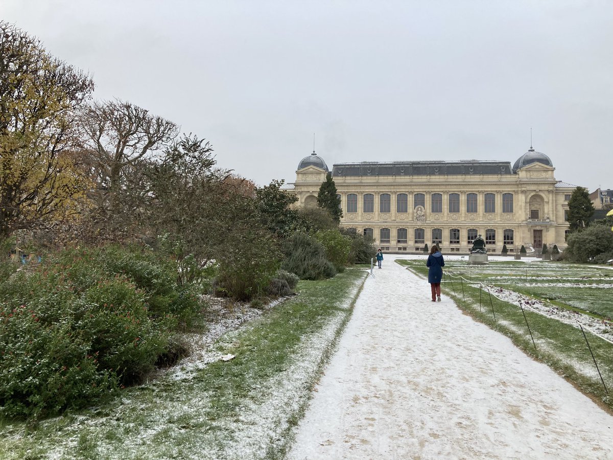 Asma SK🌠 tweet media