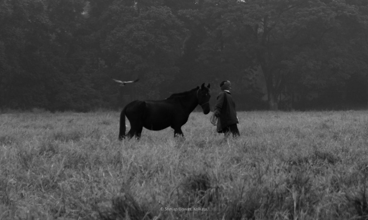 srinjanb09's tweet photo. Guardian.
Kolkata Street.
December 2022.
© @srinjanb09 
#kolkata #streetphotography #photograghy #photographyart https://t.co/sOYg2DWXUQ