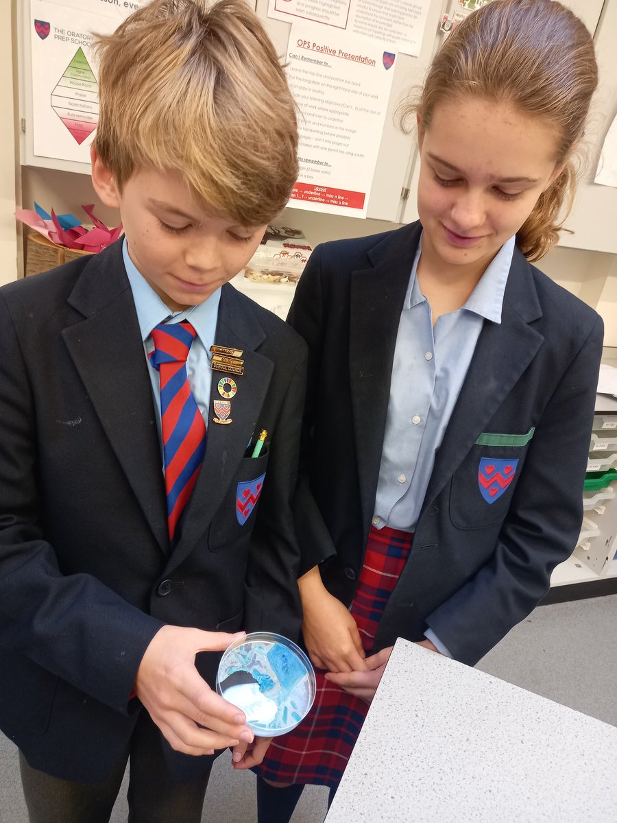 OPSScience's tweet image. We&apos;ve been growing crystals in the lab from super saturated solutions over the past couple of weeks so on the last day we could add some winter sparkle! They turned out pretty well! @OPS_OratoryPrep #STEMeducation #STEM