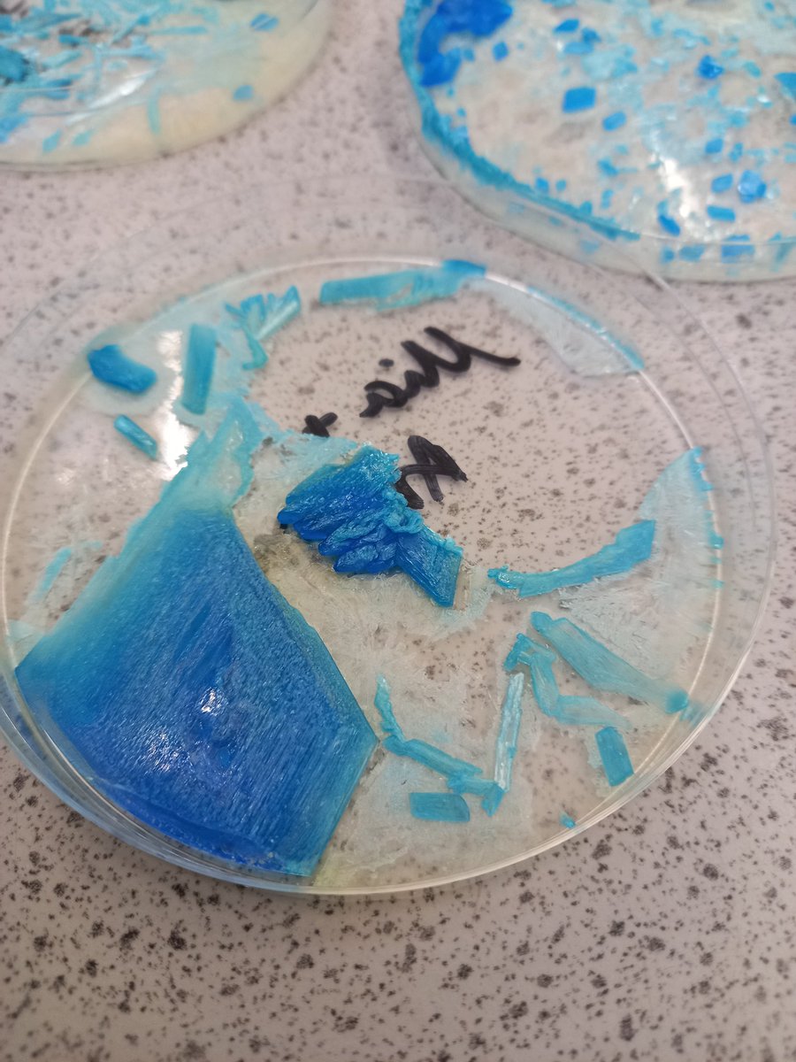 OPSScience's tweet image. We&apos;ve been growing crystals in the lab from super saturated solutions over the past couple of weeks so on the last day we could add some winter sparkle! They turned out pretty well! @OPS_OratoryPrep #STEMeducation #STEM