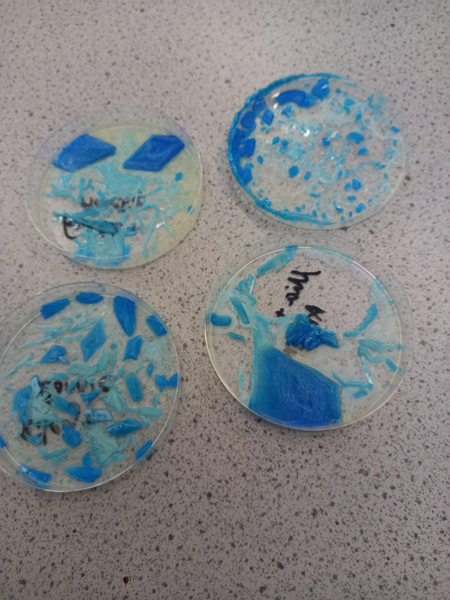 OPSScience's tweet image. We&apos;ve been growing crystals in the lab from super saturated solutions over the past couple of weeks so on the last day we could add some winter sparkle! They turned out pretty well! @OPS_OratoryPrep #STEMeducation #STEM