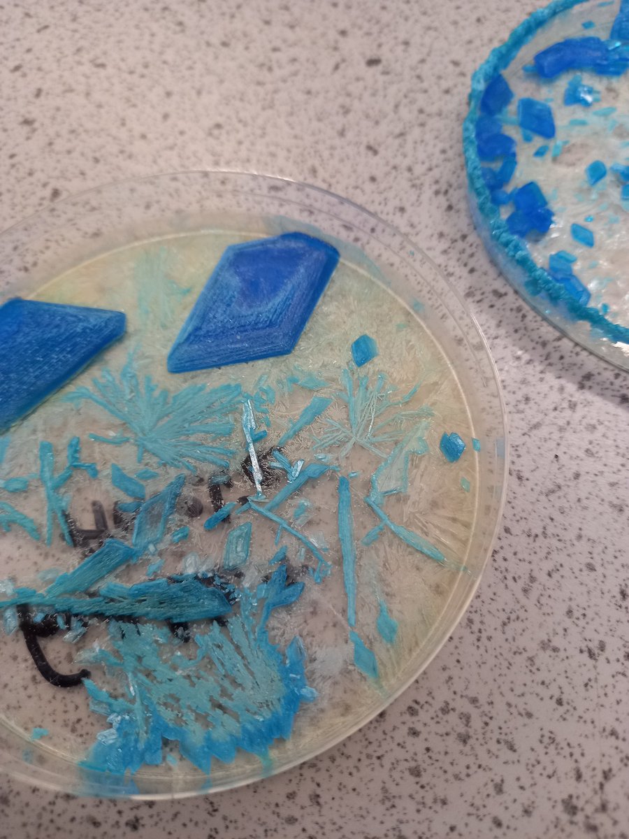 OPSScience's tweet image. We&apos;ve been growing crystals in the lab from super saturated solutions over the past couple of weeks so on the last day we could add some winter sparkle! They turned out pretty well! @OPS_OratoryPrep #STEMeducation #STEM