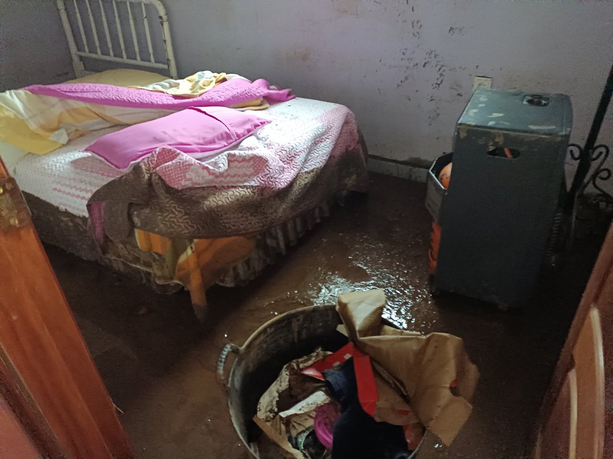 Julia Noriega tweet media