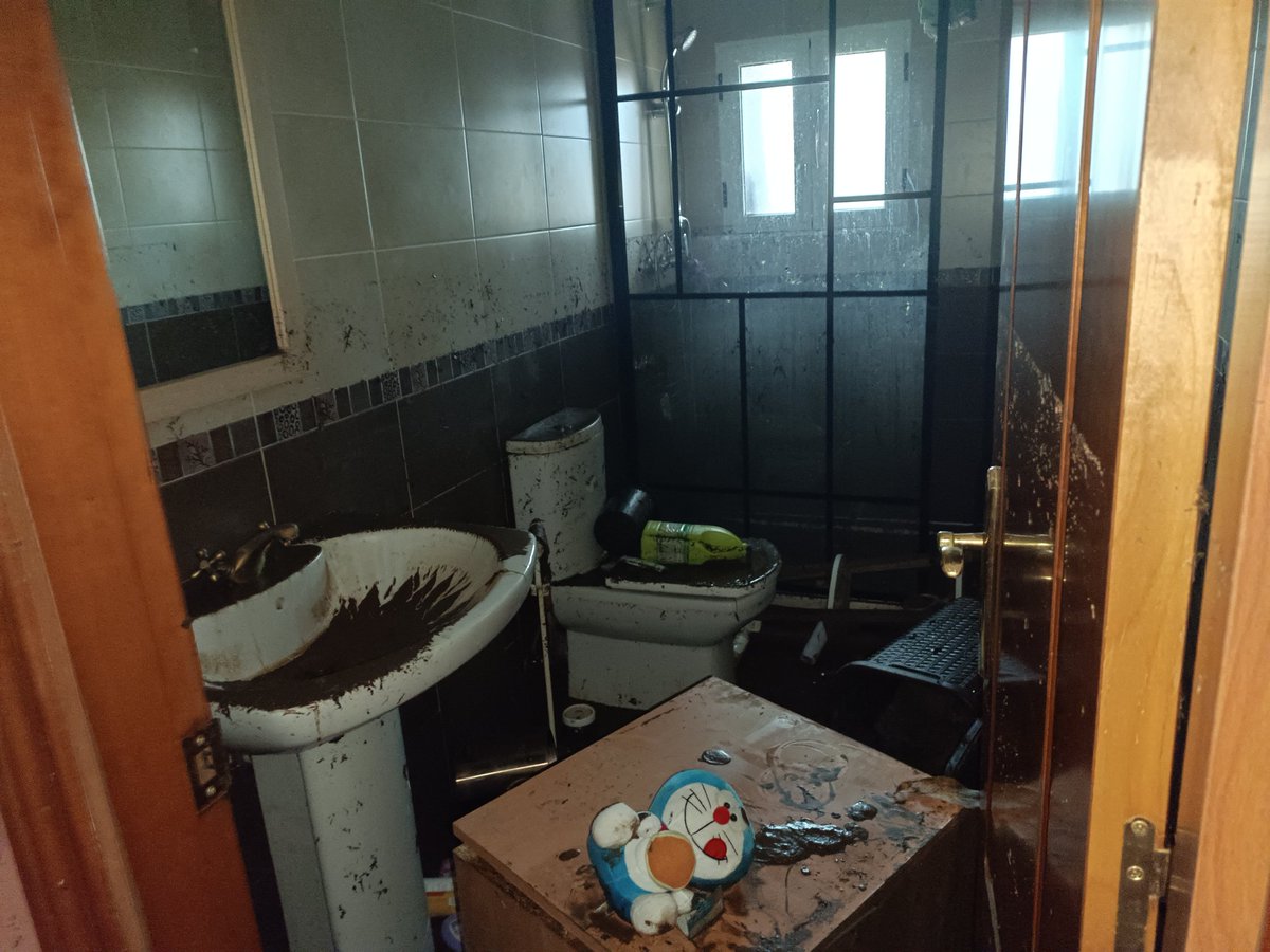 Julia Noriega tweet media