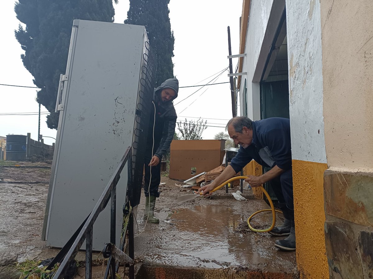 Julia Noriega tweet media