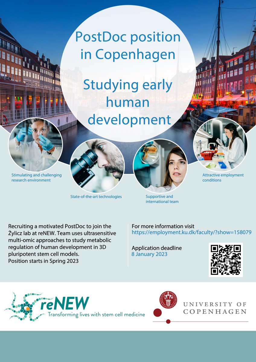 Fully funded PostDoc position in our team @UCPH_reNEW! Join us and delve deep into the fascinating world of human development. Deadline: January 8th; all nationalities welcome to apply. #Diversity #StemCell #postdocjobs Plz share.👇 bit.ly/3UQIMoc