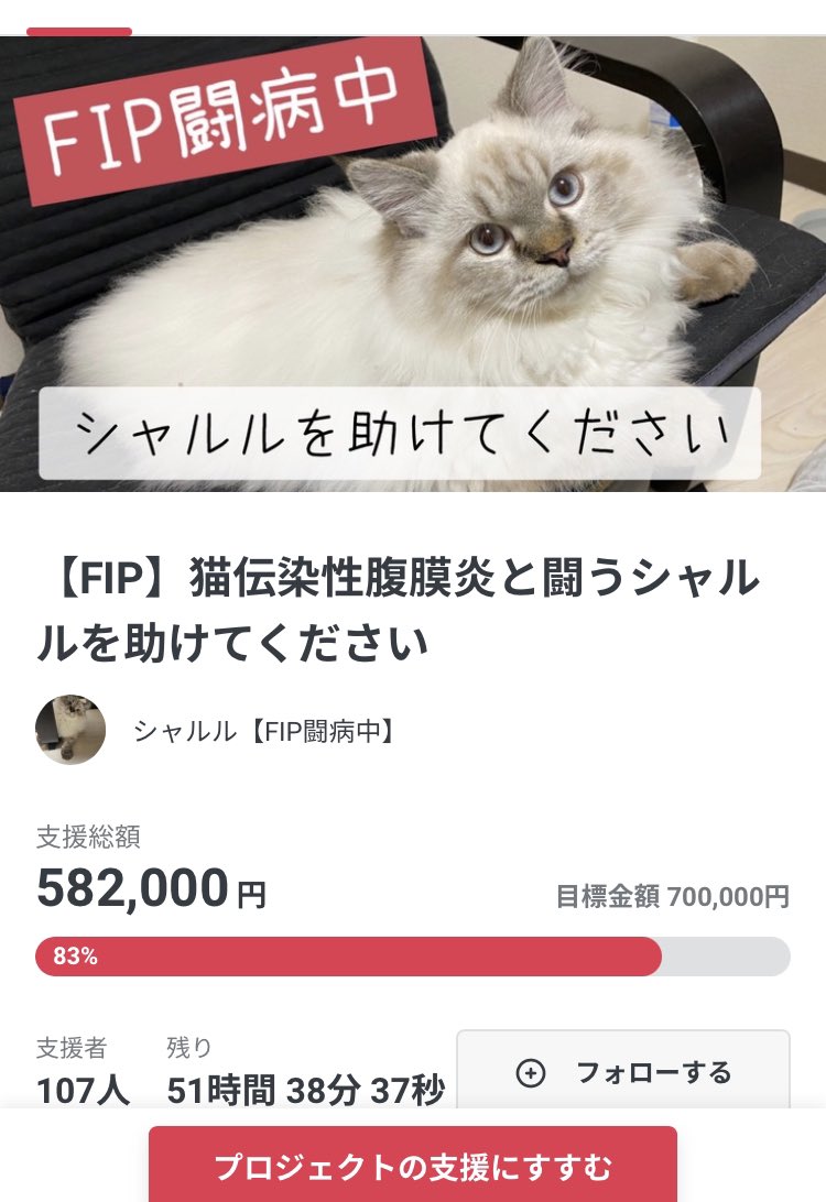 🆘シャルルちゃんのクラウドファンディングとても厳しい状況です‼️
🆘募集は12月16日22時59分まで‼️
🆘あと2日で⚠️118,000円が必要です。
目標額に達しないとこれまでのご支援を受け取れません。
ご無理のない範囲で構いません。
シャルルちゃんに支援が届きますようご協力お願い致します🙇‍♀️