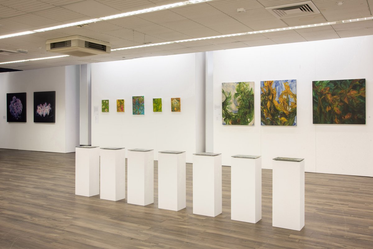 Huddersfield Art Gallery tweet media