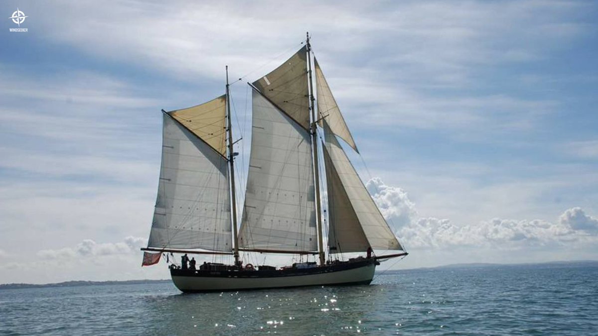 WindseekerAtSea's tweet photo. The answer to yesterday's question is of course Tall Ship Maybe! ⛵
#maybesailing https://t.co/aPXuQiLYvK