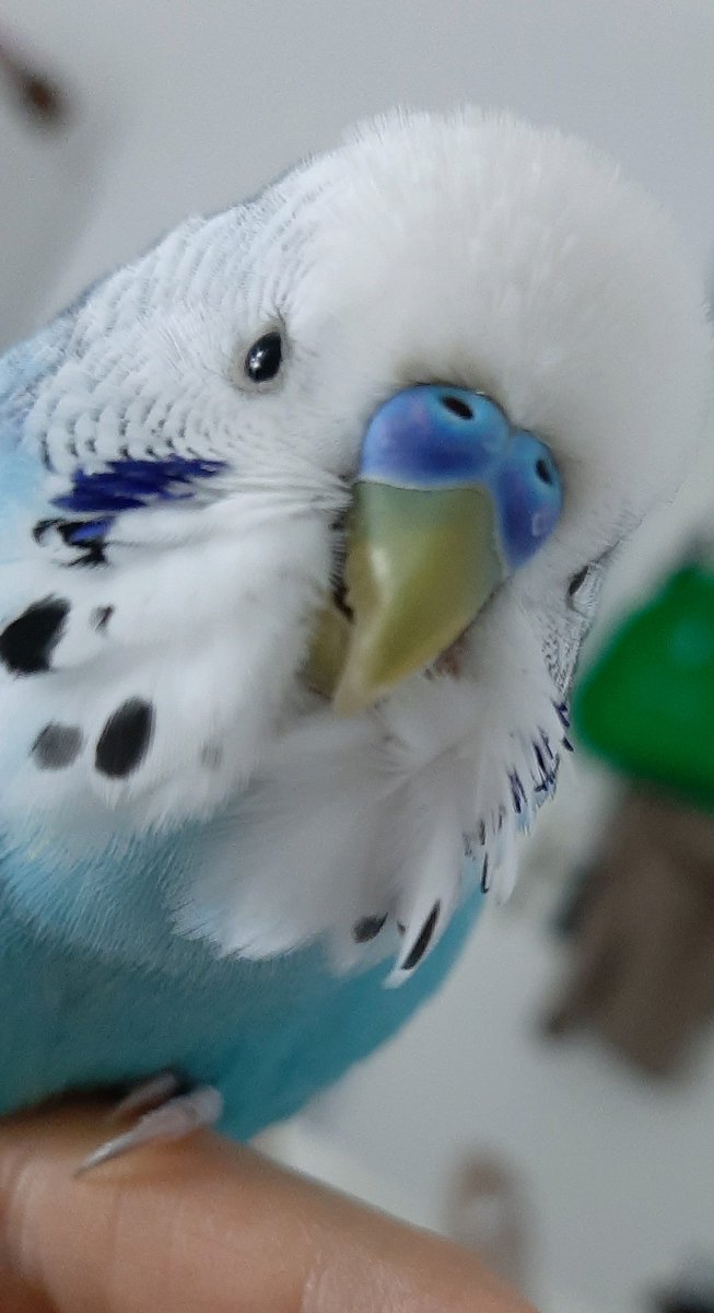 Seni çok özledim şimdiden ...