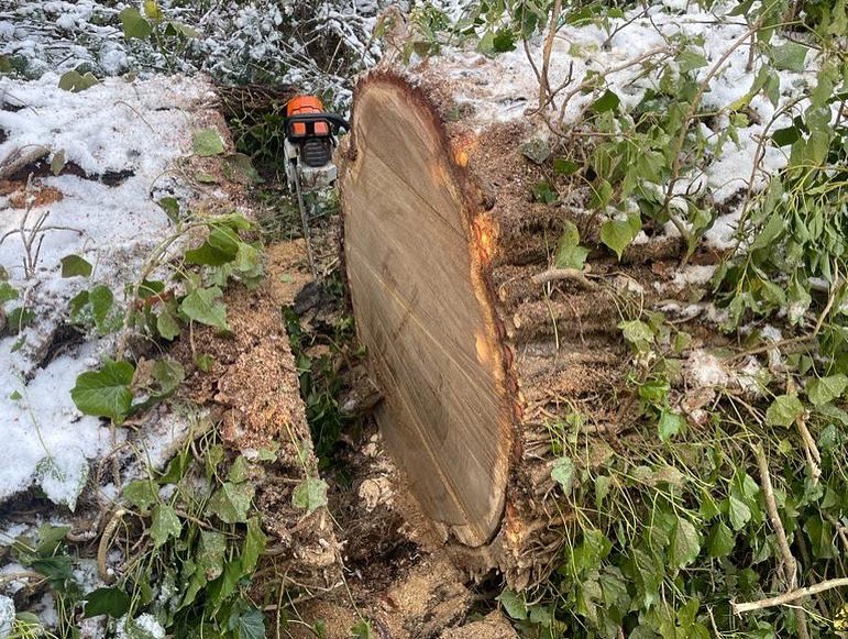 It’s another frosty morning in West Sussex #treesurgeon #treemanagment #arborist #treefelling #arbwork #stihl #arblife