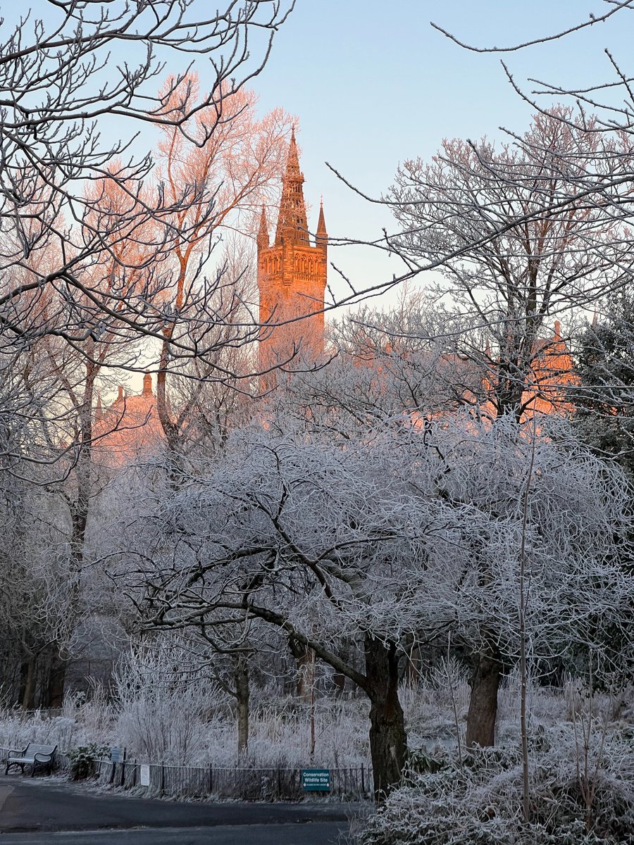 Sophie Renner tweet media