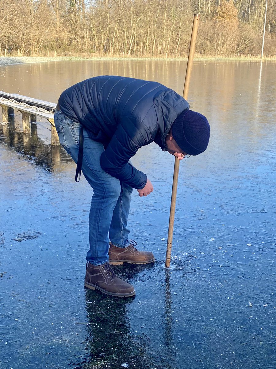 De pittige vorst van afgelopen nacht heeft onze ijsvloer goed gedaan maar we zijn er nog niet. De ijsdikte varieert op dit moment van 4,5 cm tot 5,5 cm. Dat is te dun om nu al open te kunnen gaan, maar we zijn goed op weg. #natuurijs #schaatsen #nienoord