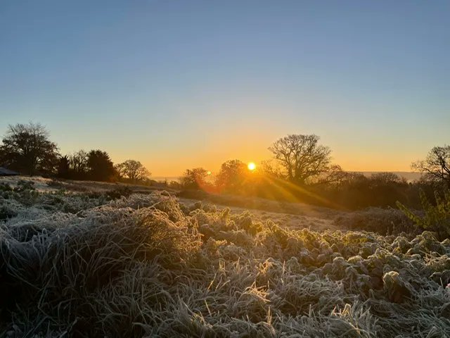 FrenshamHeights's tweet photo. We are so lucky to learn in such an incredibly beautiful setting. The last few frosty, sunny mornings at Frensham have been stunning. #frostymornings #ourenvironment #beautifulviews @FrenshamHeights https://t.co/gFIe0WNU3z