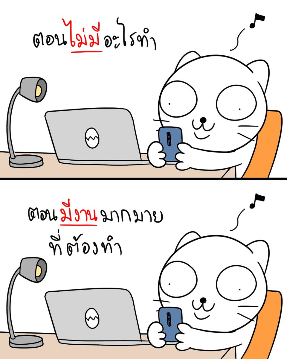 แมวไข่ต้ม tweet media