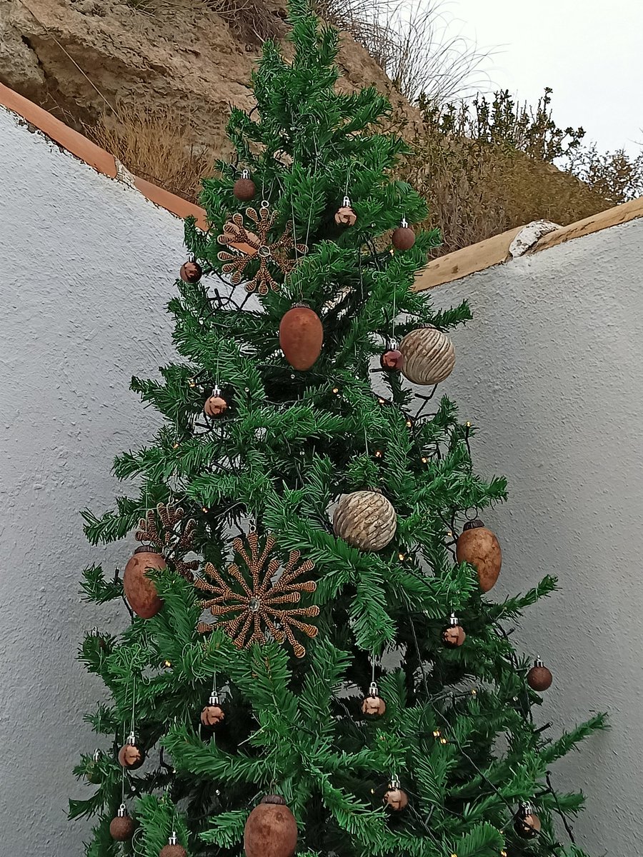 DesertPatriarch's tweet photo. The Andalusian Reformed Orthodox Church outdoor Christmas Tree at the newly consecrated altar. الكنيسة الأندلسية الأرثوذكسية الإصلاحية شجرة عيد الميلاد في الهواء الطلق عند المذبح المكرس حديثًا. https://t.co/KU5lpd9Lj3