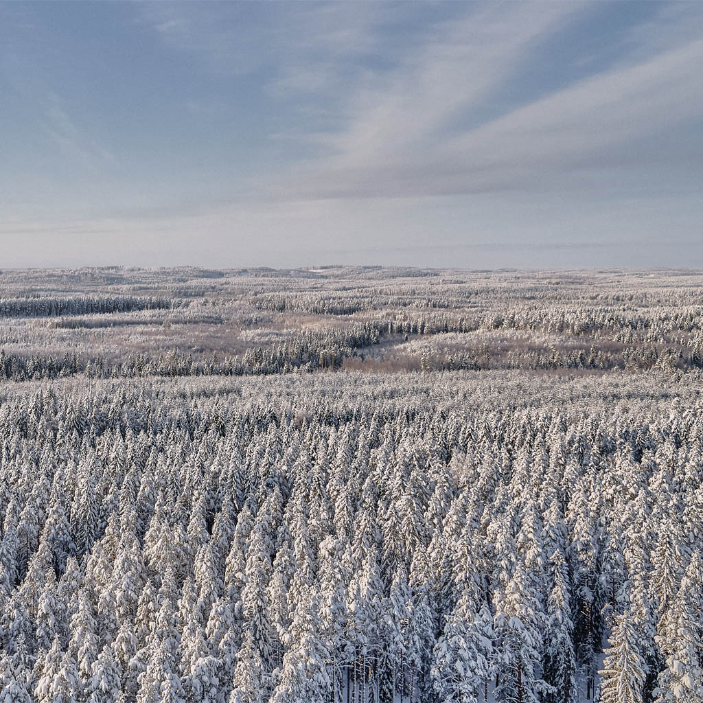 Nordiska kartongproducenten Metsä Board har för andra gången trippelbelönats för sitt ambitiösa hållbarhetsarbete av den globala ideella miljöorganisationen CDP bit.ly/3BBA4U1