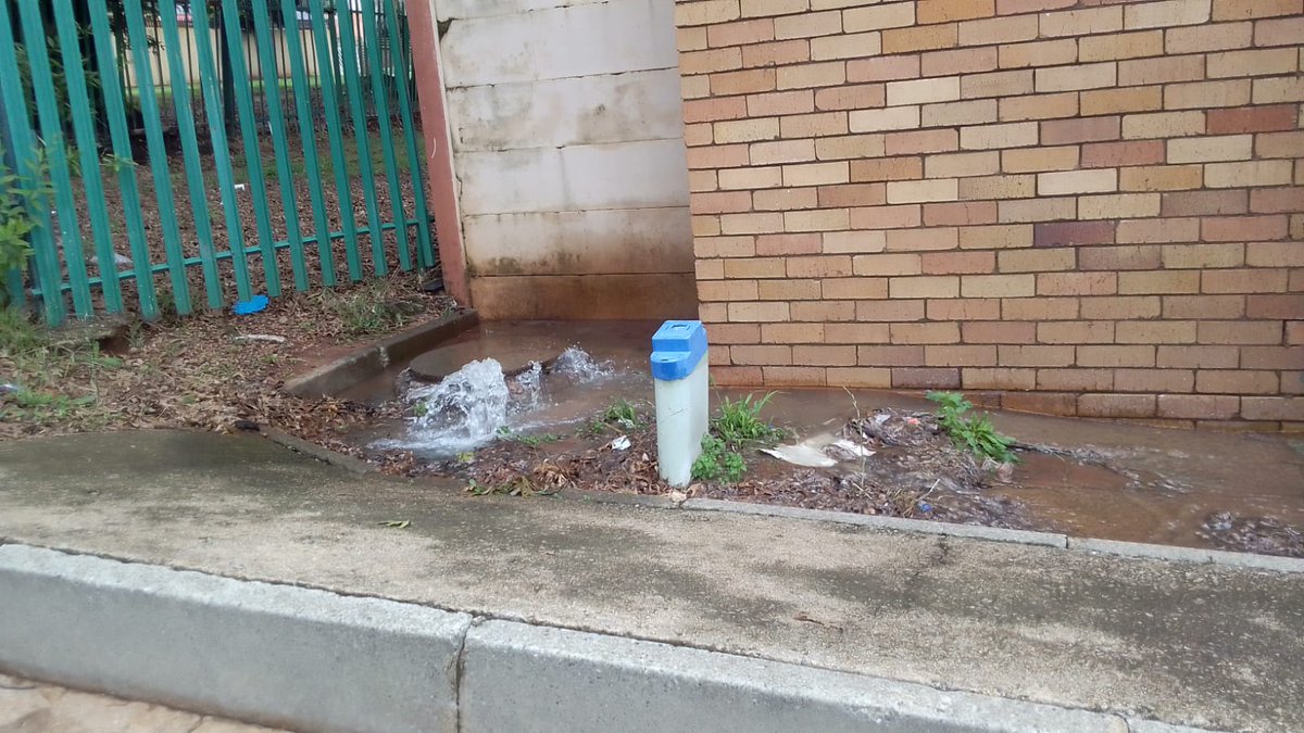 Delfos Cricket Club tweet media