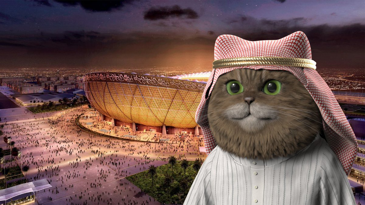 World Cup excitement continues 🤗💥
💫Which two teams will we watch in the final match at Qatar 2022 Lusail Iconic Stadium?

Our Qatari Tourist Cat has a prediction👀

#WeAreVTBulls #VTBulls $Vt #TouristCats #VirtualTourist #VTBulls #Metaverse #Vttoken 🚀