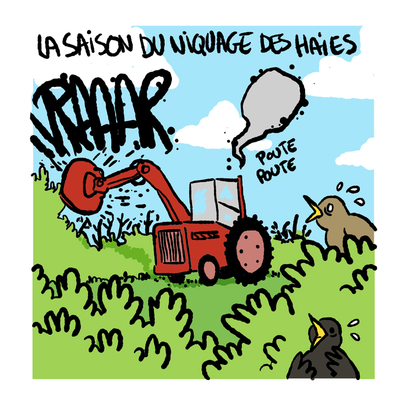 LeVilainBD's tweet photo. Un petit strip sur la vie à la campagne (1/2) https://t.co/noRQ496y6f