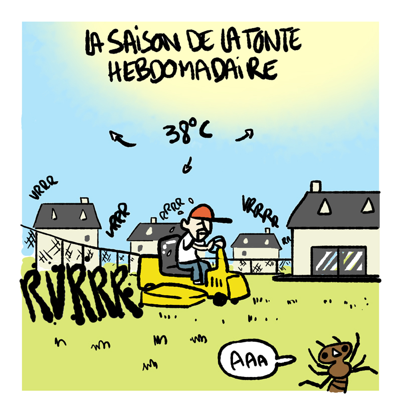 LeVilainBD's tweet photo. Un petit strip sur la vie à la campagne (1/2) https://t.co/noRQ496y6f