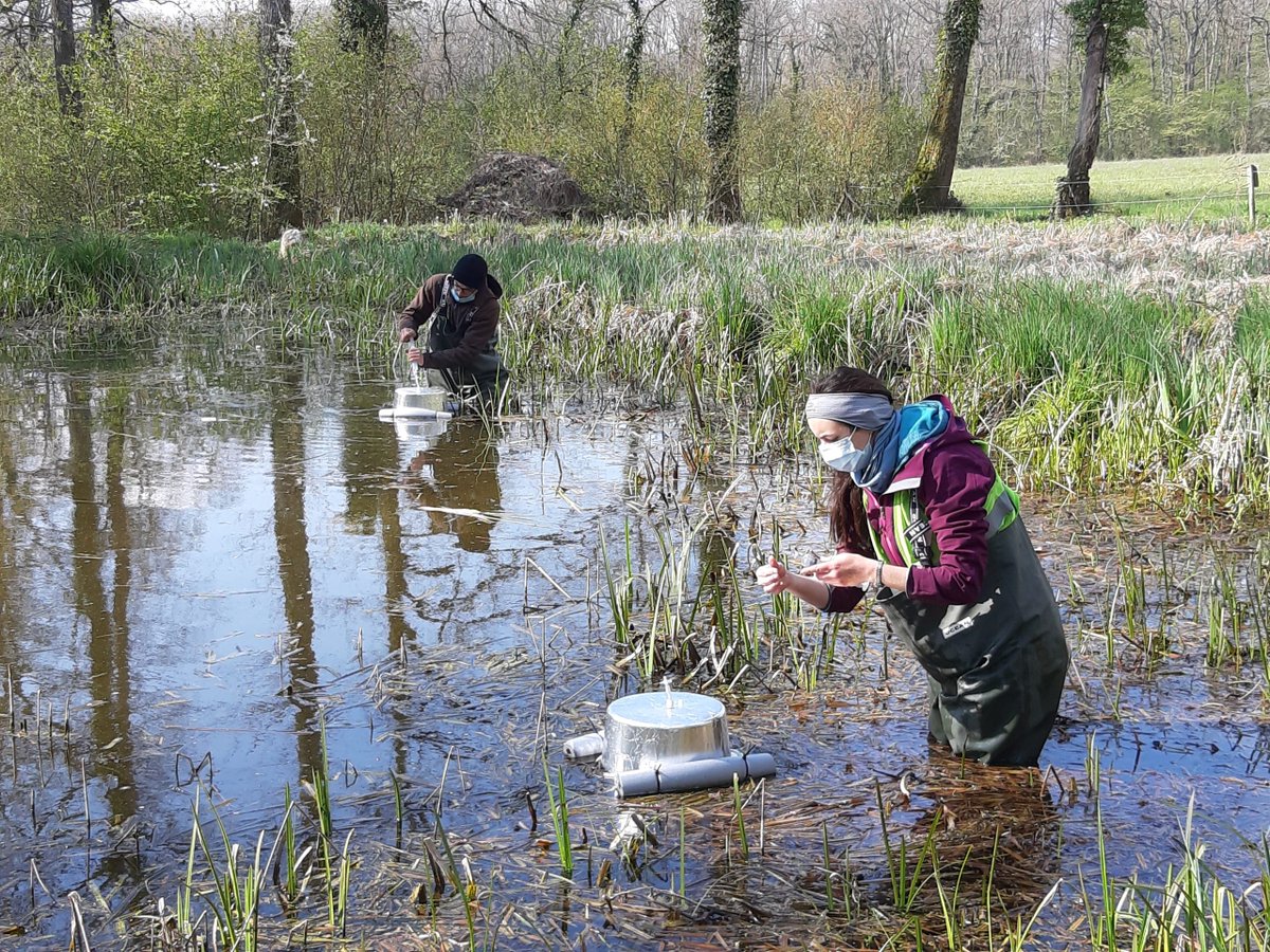 The #PONDERFUL team from <a href="/HES_SO_Geneve/">HES-SO Genève</a> in #Switzerland recently shared some exciting early results of their research on carbon trapping in ponds to an international audience at <a href="/intecol2022/">INTECOL 2022 Geneva</a> 
Find out more: ponderful.eu/sharing-early-…