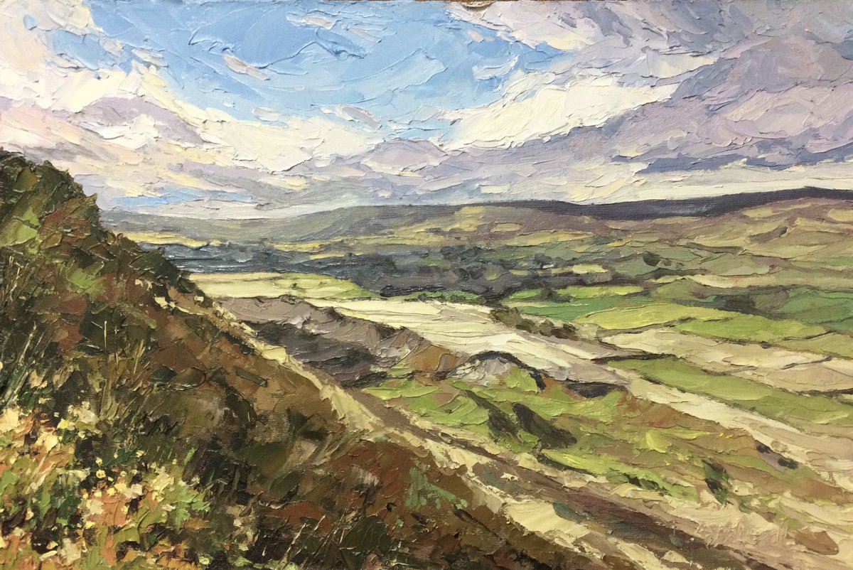 ‘From the Hillside’ I sheltered from the wind on the top of Penhill by walking down the side and hid amongst the Heather. I could enjoy the view in peace lynnwardartist.com/store/p_307385…