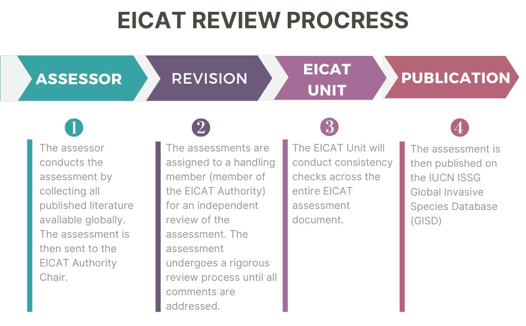 Ever wondered what happens when you submit an EICAT assessment? 💭 The process below is followed to ensure that the assessment is published on the IUCN ISSG GISD website (iucngisd.org/gisd/search.php) @SKumschick @AnaLuisaNunes25 @BelinGallardo @SvenBacher @Papik_genovesi @IUCN_ISSG