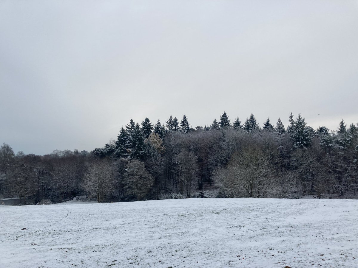 Valence School tweet media