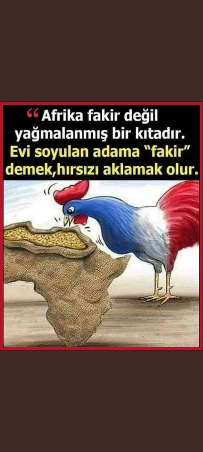 Petek Coşkun (@petekcoskunn) on Twitter photo 